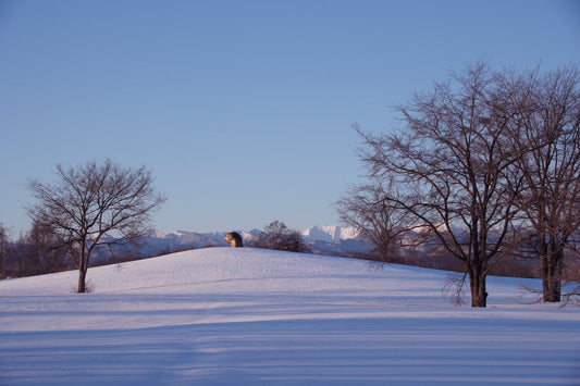 Echoes of Hokkaido in Southern California
