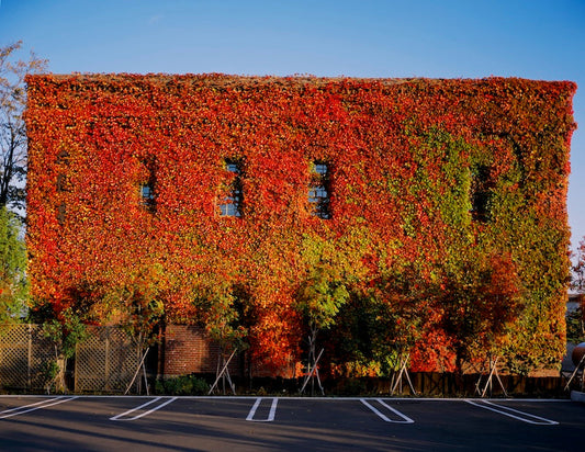 Rokkatei in Autumn