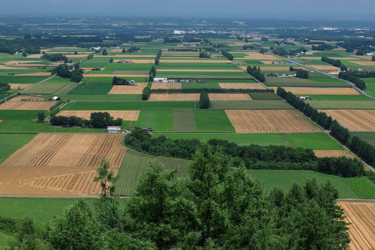 The Taste of Hokkaido Comes to California